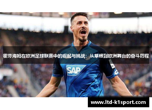 霍芬海姆在欧洲足球联赛中的崛起与挑战：从草根到欧洲舞台的奋斗历程