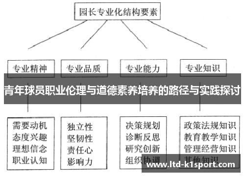 青年球员职业伦理与道德素养培养的路径与实践探讨