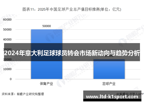 2024年意大利足球球员转会市场新动向与趋势分析