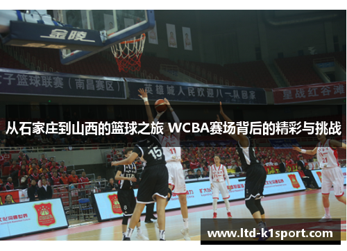 从石家庄到山西的篮球之旅 WCBA赛场背后的精彩与挑战
